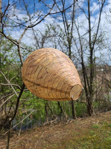 snopes paper bag fake hornet nest